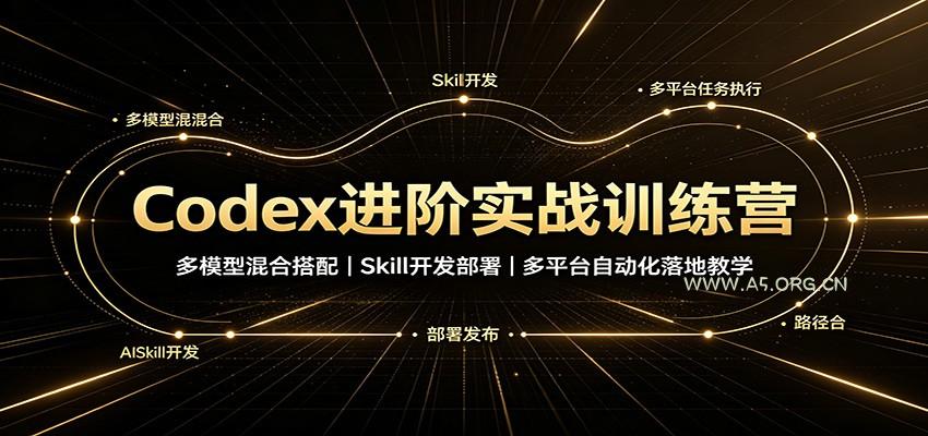 Codex进阶实战训练营：多模型混合搭配，Skill开发部署，多平台自动化落地教学 - 小红泡