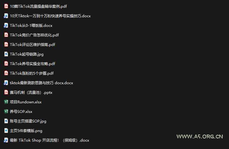 2026TikTok海外掘金实战课&mdash;&mdash;养号SOP+爆款公式+选品测款+广告投流+Shop开店，跑通海外运营全链路 - 小红泡