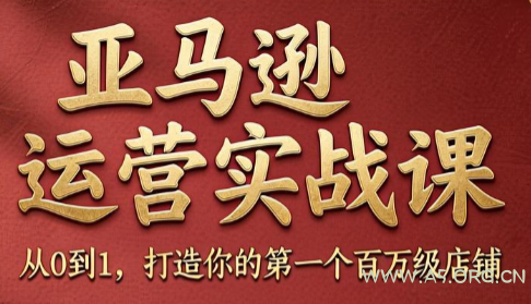 skyla·亚马逊运营实战课(更新8月) - 小红泡 skyla·亚马逊运营实战课(更新8月) - 小红泡