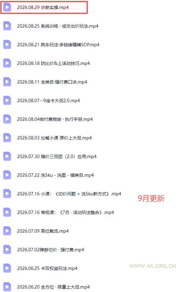 拼多多实战特训营(更新26年0831 - 小红泡
