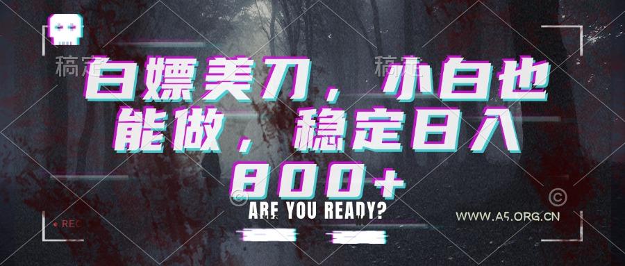 白嫖美刀，小白也能做，稳定日入800+ - 小红泡