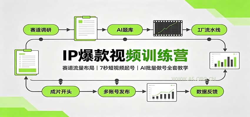 IP爆款视频训练营：赛道流量布局，7秒短视频起号，AI批量做号全套教学 - 小红泡