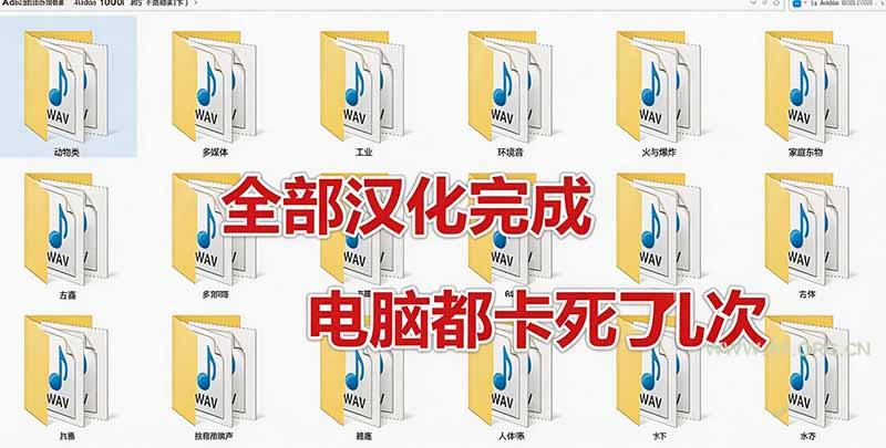 请称爆硬盘！Adobe 和 达芬奇 官方提供的高品质免版税音效库， 10000+ 免费商用音效合集，已离线打包 - 小红泡