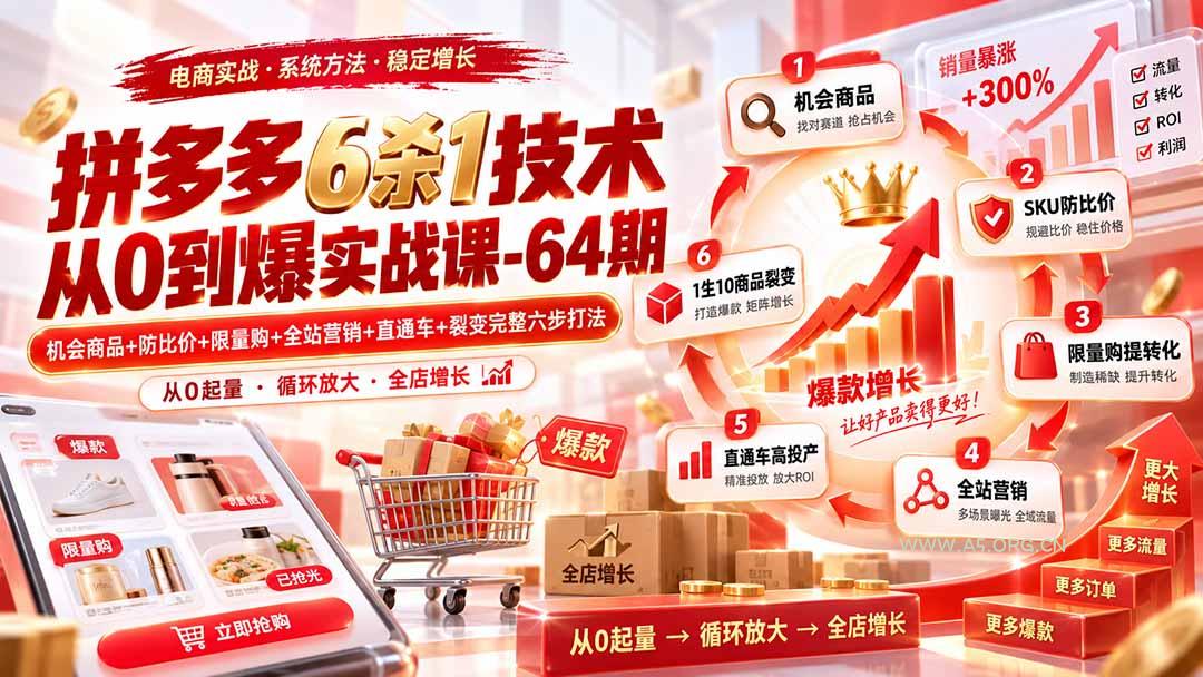 拼多多6杀1技术从0到爆实战课-64期：机会商品+防比价+限量购+全站营销+直通车+裂变完整六步打法 - 小红泡