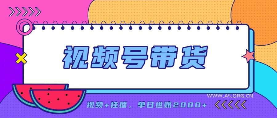 日入2000+的副业，视频号带货，一部手机改写人生篇章，无需投资 - 小红泡