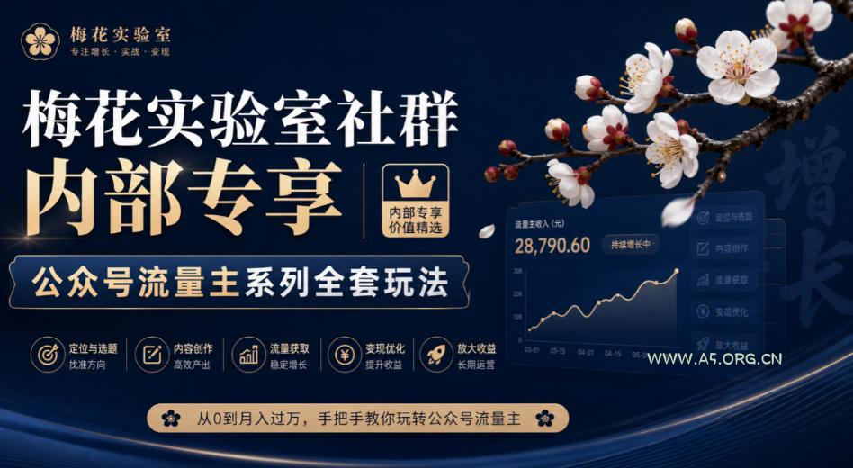 梅花实验室社群内部专享-公众号流量主系列全套玩法 - 小红泡 梅花实验室社群内部专享-公众号流量主系列全套玩法
