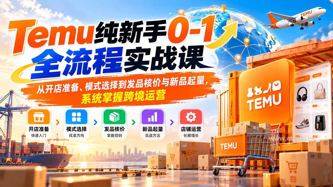 Temu纯新手0-1全流程实战课：从开店准备、模式选择到发品核价与新品起量，系统掌握跨境运营 - 小红泡