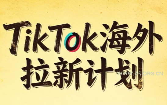 Tc联盟&middot;TikTok海外拉新项目(更新9月) - 小红泡
