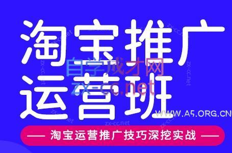 美迪电商&middot;淘宝高级运营班+推广运营班(更新9月) - 小红泡