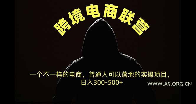 跨境电商联营，一个不一样的电商，普通人可操作日入300-500+ - 小红泡