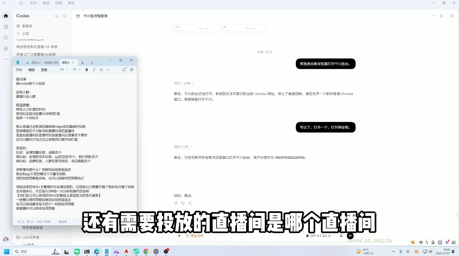 codex系统实操课程(更新10月) - 小红泡