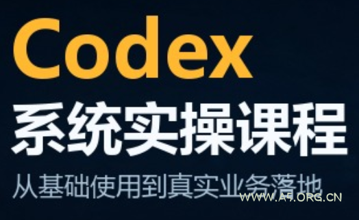 codex系统实操课程(更新10月) - 小红泡