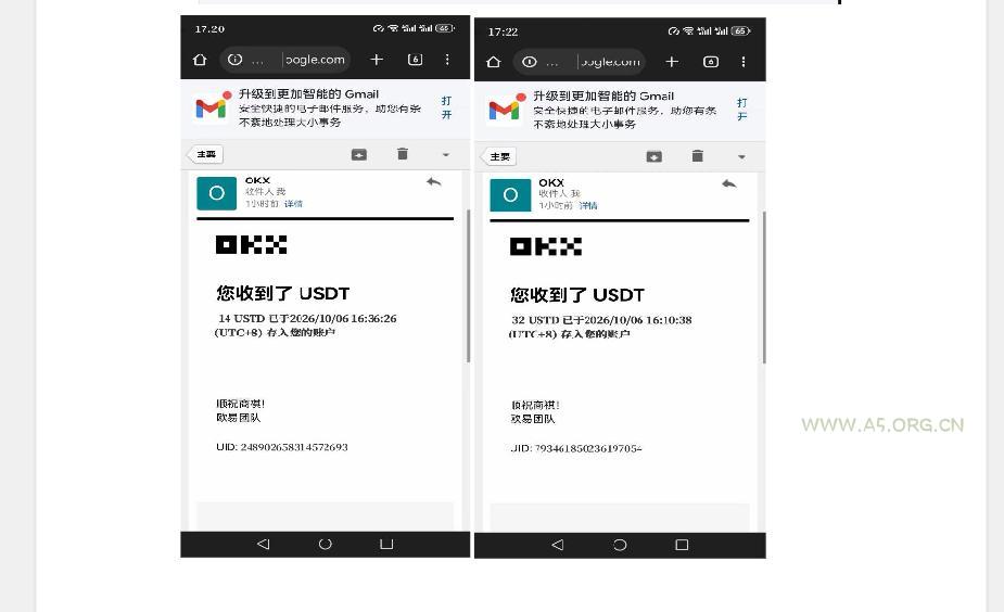 外面收费8000的myupload视频挂机撸美金项目，单日收益20-50美金+工作室可批量搞【挂机脚本+详细 - 小红泡