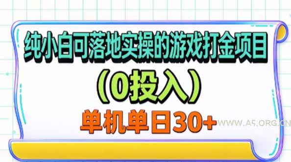 纯小白可落地实操的游戏打金项目(0投入 - 小红泡