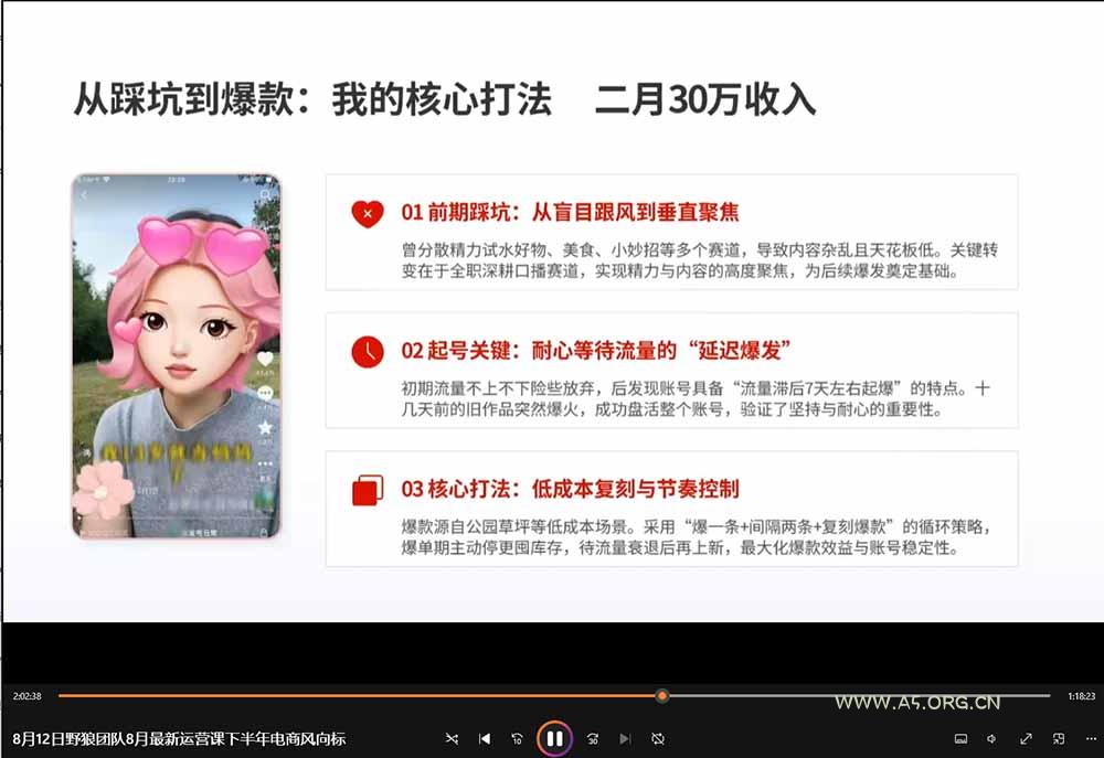2026新版AI短视频带货实战课-更新10月17：抖音+快手+视频号三大平台，系统掌握AI内容与电商运营玩法 - 小红泡