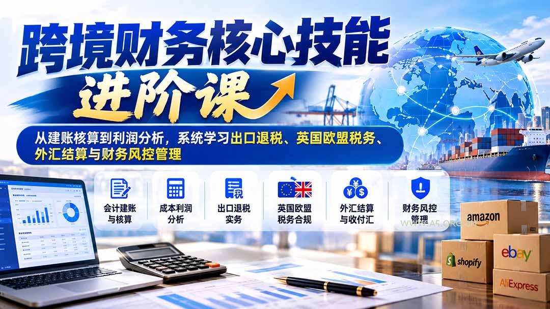 跨境财务核心技能进阶课：从建账核算到利润分析，系统学习出口退税、英国欧盟税务、外汇结算与财务风控管理 - 小红泡
