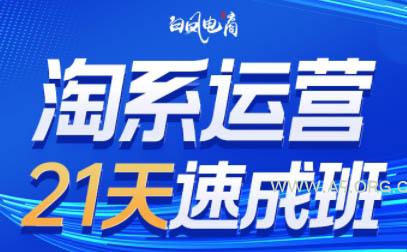白凤电商·淘系运营21天速成班(更新10月) - 小红泡 白凤电商·淘系运营21天速成班(更新10月) - 小红泡